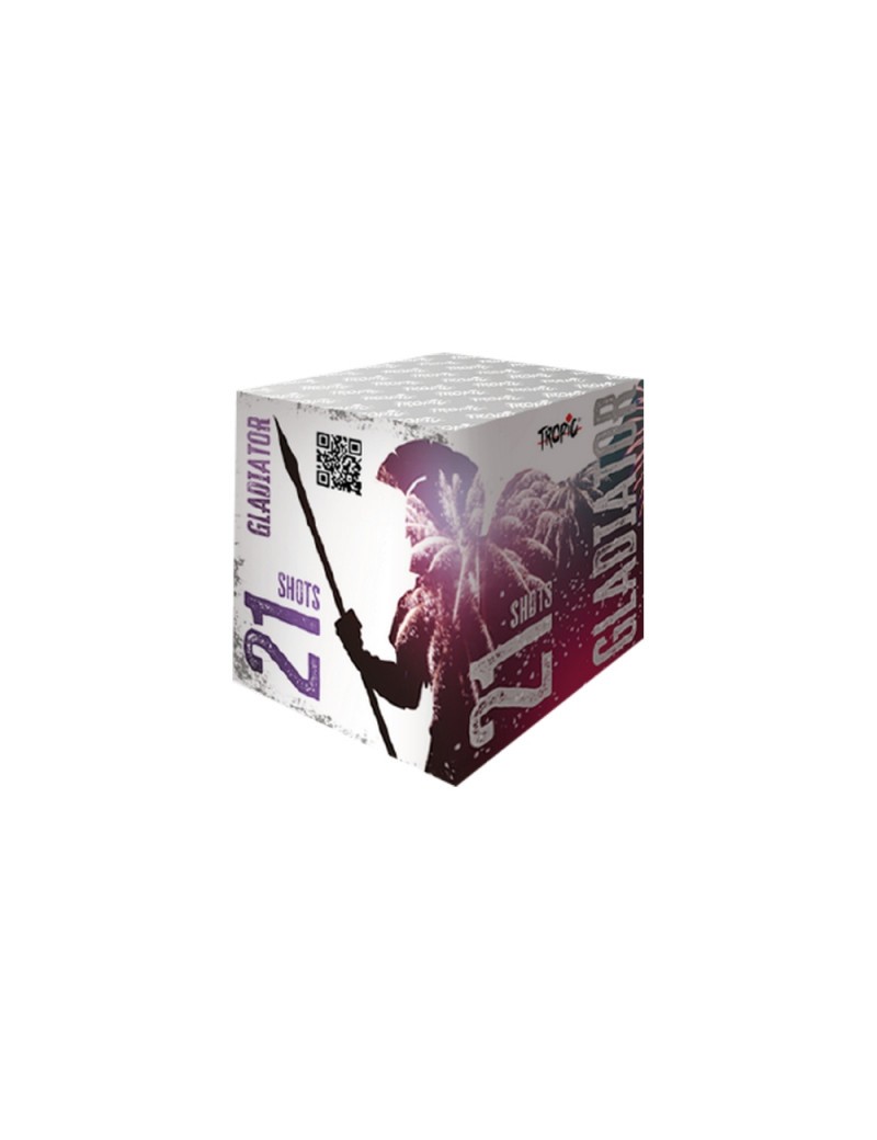 Batterie 21 Coups Gladiators 25 Mm