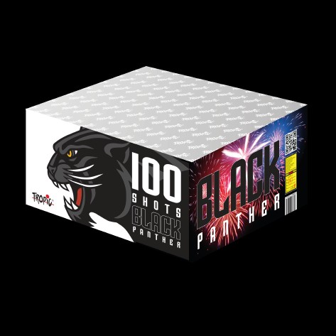 Batterie Black Panther TB2 – 100 Coups